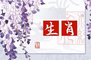 2022下半年贵人最旺的生肖-神算网(2021年下半年贵人最多的生肖)