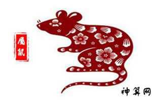 2018年生肖鼠每月运势大全(属鼠2018年每月运势)