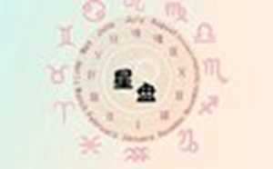 月亮狮子和什么月座搭(月亮狮子和什么月座搭配最好)
