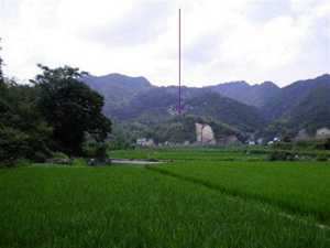 阴阳风水案例(阴阳风水案例分析)