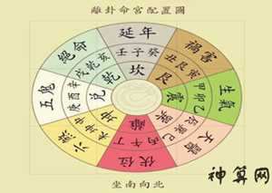 今年的风水在哪个方位(今年的风水在哪个方位最旺)