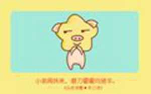 2019的猪年五行属什么命(2019的猪年五行属什么命运)