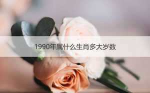 1990年属什么生肖啥命(1990年属什么生肖是什么命)