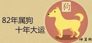 94年生肖狗2018年运程(94年属狗2018年运势)