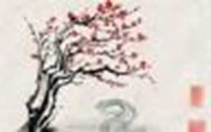 蛇与蛇属相做夫妻怎么样(蛇男蛇女适合做夫妻吗)
