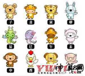 冬天要洗澡的生肖(冬天洗澡叫什么)