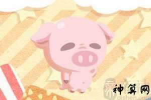 2017生肖运势详解属猪(2017年生肖猪的运势大全)