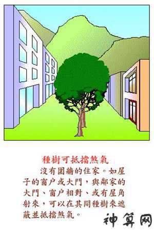 风水学种树知识(风水学种树知识大全)