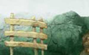 女人梦见好多蛇代表啥-神算网