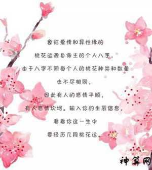 2022桃花财运好到爆星座女(2022桃花最旺财运亨通星座女)