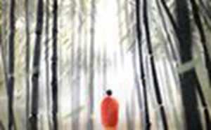 房子周围的树的风水大全(房子周围树木风水)