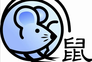 属兔和属鼠的在一起会很搭配么(属兔和属鼠在一起好吗)