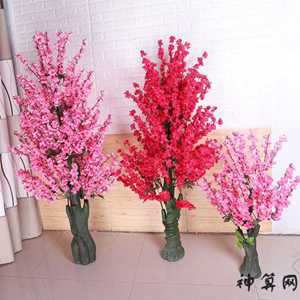 假花放在院子里风水(假花放在院子里风水好吗)