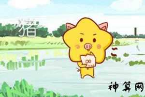 2017星座运势1971运势如何(2017年星座运势)
