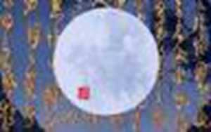 测寿命的软件(测寿命软件)