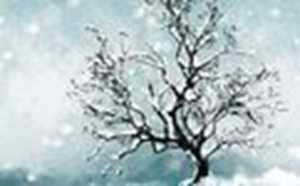 免费算八字身强身弱(免费测八字身强身弱)