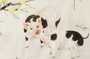 丑肖有哪些生肖(丑肖有哪几个生肖)