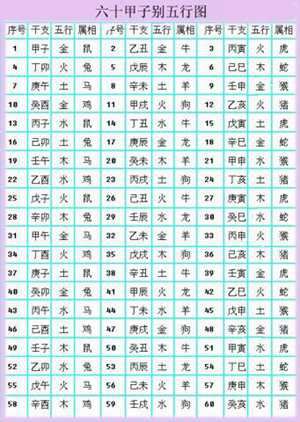 2025生肖的五行(2025生肖五行属什么)