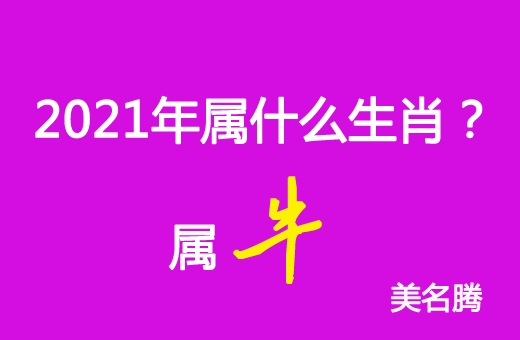 2045年属什么生肖