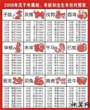 1993年阴历12月属什么生肖(1993年12月出生是什么命)