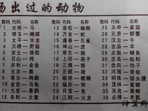 绞厚猜生肖(绞是什么生肖)