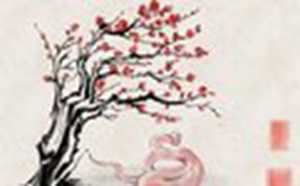 属蛇人一生最旺的颜色(属蛇人一生最旺的颜色是什么)