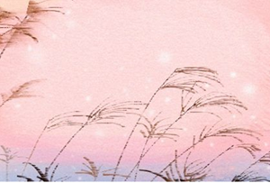5月是什么星座(5月是什么星座)