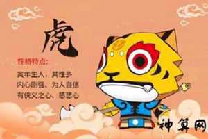 生肖虎2019年运势(生肖虎2019年运势大全)
