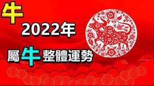 2022运程生肖大全免费(2022生肖运程)