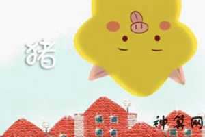 属猪人命里带二婚(1995属猪人命里带二婚)
