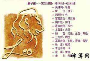座属虎2017年运势(座属虎2017年运势如何)