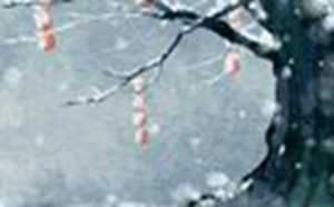 女人梦见别人送花给我什么意思