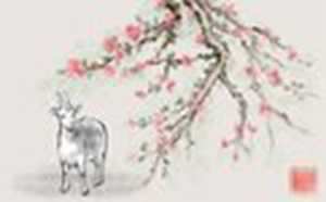 79年属羊人一生的命运如何(1979年属羊43岁后会大富大贵)