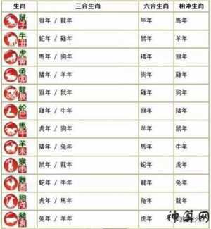 竞对分析是什么生肖(竞对分析是什么意思)