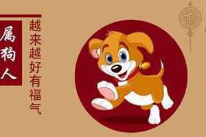 猴生肖狗生肖相冲吗(生肖猴跟狗配吗)