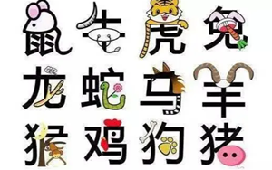 五行生肖都是一一对应的吗(各生肖属于五行中的什么意思)