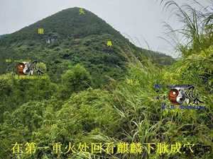 粤西风水出仙人(粤西风水宝地)