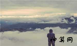 12生肖哪种最温和(12生肖什么动物最温和)
