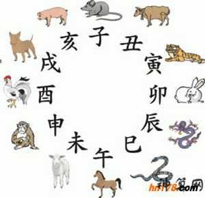 十二会做生意生肖(十二会做生意生肖是什么)