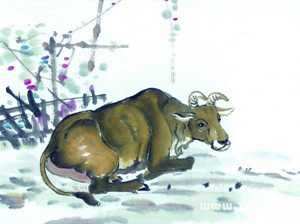 癸丑什么生肖(癸丑什么生肖最好)