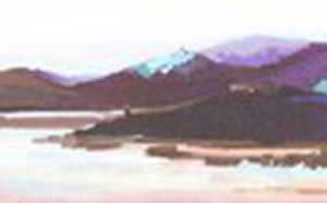广东樱花节时间(2021广东赏樱花地方的最好时间)