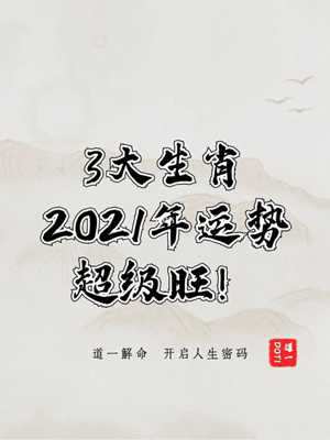 2023是什么年生肖年(2023年是什么年生肖年份)
