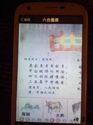 大门派出一个五猜生肖(大门派出一个五猜生肖是什么)