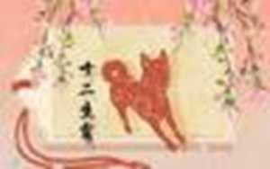 属狗的命运一生怎么样(属狗的命运一生怎么样女)