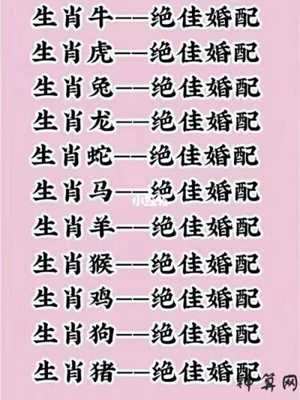 劳累的生肖有哪些(劳累的生肖有哪些动物)