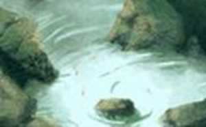 测一测你2021年10月财运财富机遇好不好-神算网(2021年10月运势测算)