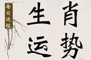 爱出风头还没有本事是什么生肖(爱出风头还没有本事是什么生肖呢)