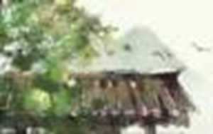 免费算事业财运如何(免费算财运和事业)
