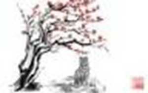 2022虎年相冲相克的生肖(2022虎年相冲相克的生肖是什么)