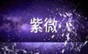 紫微斗数排盘(紫微斗数排盘)